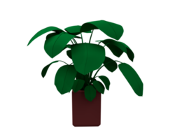 Flower plant 3d render Abstract design element Minimalist concept