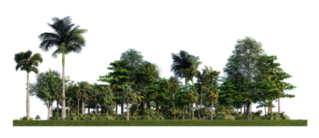 Image de rendu 3ds d'arbres de rendu 3d sur le terrain d'herbes png