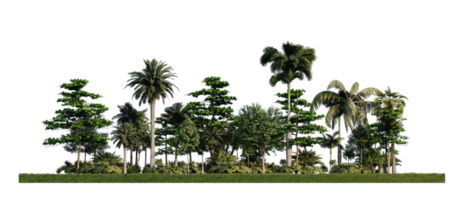 Immagine di rendering 3ds di alberi di rendering 3d sul campo di erbe png