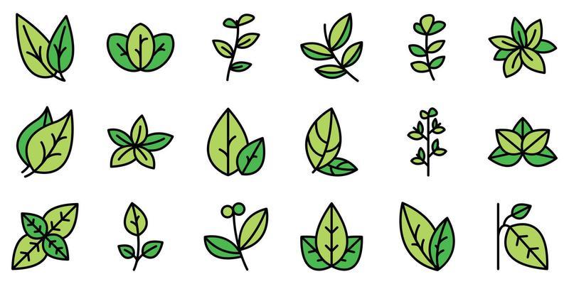 Oregano icons set vector flat