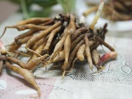 Boesenbergia rotunda, Kaempferia cochinchinensis Gagnep, Curcuma rotunda, Boesenbergia pandurate, Kaempferia pandurata Roxb fresh, vegetable food Thai herb covid-19 coronavirus photo