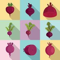 Beet icons set, flat style vector