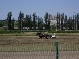 KIEV, UKRAINE - JUNE 19, 2022 Opening of the summer season photo