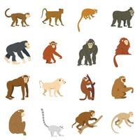 Monkey types icons set in flat style vector