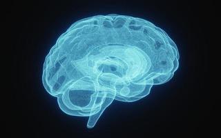 imagen de rayos X brillante del cerebro humano en estructura alámbrica azul sobre fondo negro aislado. ciencia y concepto médico. lado del cerebro. representación de ilustración 3d foto