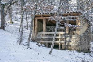 cabaña de madera y piedra en un bosque nevado foto