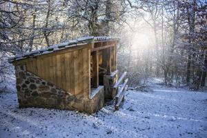 wood and stone cabin in the snowy forest at sunrise at sunrise photo
