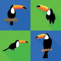 Toucan icons set, flat style vector