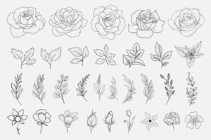 Hand Drawn Floral Element Collections vector