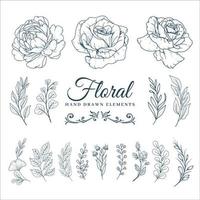 Hand Drawn Floral Element Collections vector