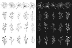 Hand Drawn Floral Element Collections vector