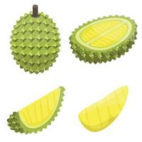 Durian icons set, isometric style vector