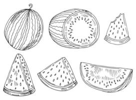 Fresh juicy slises, parts of watermelon fruit in doodle hand drawn style. Set of vector illustrations isolated on white background.