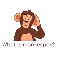 Vector illustration of monkey with question about new 2022 virus, flat style isolated