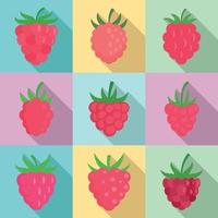 Raspberry icons set, flat style vector