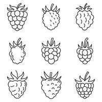 Fresh raspberry icons set, outline style vector