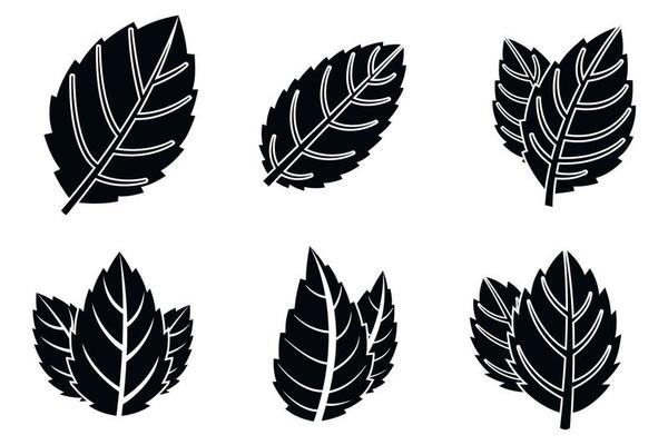 Mint leaf icons set, simple style