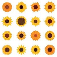 conjunto de iconos de girasol, estilo plano vector