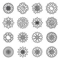 Botanical sunflower icons set, outline style vector