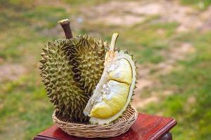 durian madurado y fresco, cáscara de durian con color amarillo sobre mesa de madera. foto