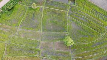 A picture that contains a field of grass and cloudy skies. photo