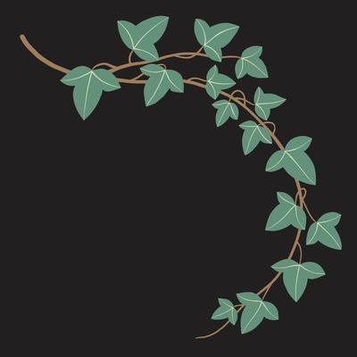 Simplicity ivy freehand drawing flat design.