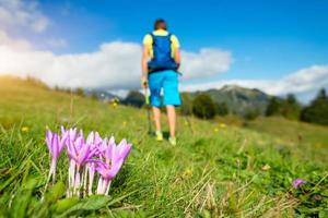 Flower in the foreground with man practicing nordic walking blurry photo