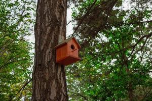 Bird house on a tree photo