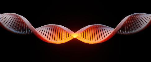 3d render Helix complementary strand of DNA of RNA. Sequences genetic code or genome. Gene expression. nucleotide database. The Central Dogma process of transcription and translation. Human gene. photo