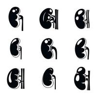 Human kidney icons set, simple style vector
