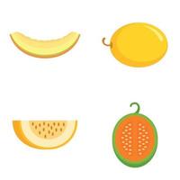 Melon icons set, flat style vector