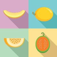 Melon icons set, flat style vector