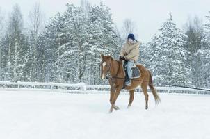 a girl rides a horse in the winter. winter holidays photo