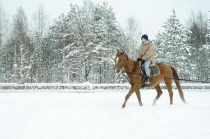 una niña monta un caballo en invierno. vacaciones de invierno foto