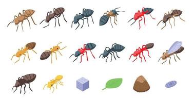 Ant icons set, isometric style vector