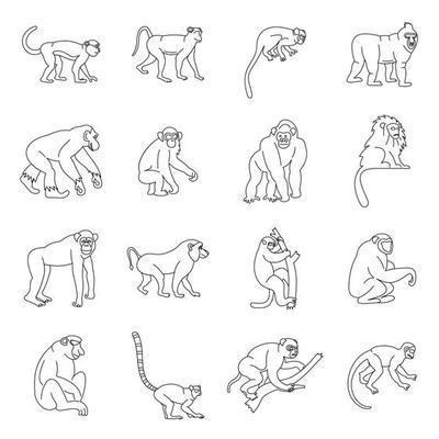 Monkey types icons set, outline style