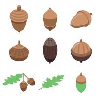 Acorn icons set, isometric style vector