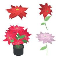 Poinsettia icons set, isometric style vector