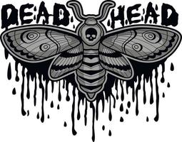 death's-head hawk moth and skull vector