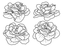 rosa flor dibujado a mano boceto línea arte ilustración vector