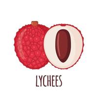 Lychee fruit icon in flat style isolated on white background. Vector illustration.