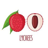 Lychee fruit icon in flat style isolated on white background. Whole and half lychee with leaves. Vector illustration.