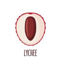 Half of Lychee fruit icon in flat style isolated on white background. Vector illustration.