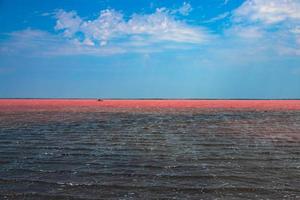 Exotic pink salt lake and blue sky with clouds. photo