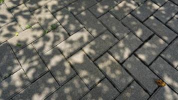 Cement block pathway or paving blocks photo