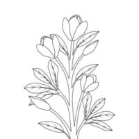 outline artwork seasonal flower sketch illustration design for cute kids coloring page vector