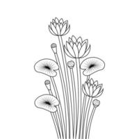 water lily line art coloring page for kid book on white background vector