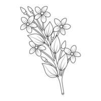 bloom flower and bud illustration of coloring page for kids sketch book vector