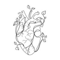 corazón humano con ramas que crecen plantas hojas línea arte vector ilustración aislado sobre fondo blanco. dibujo anatómico abstracto del forro del corazón, boceto en blanco y negro, gran diseño para cualquier propósito