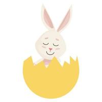 Bunny. Cute pretty Rabbit into Broken Egg. vector